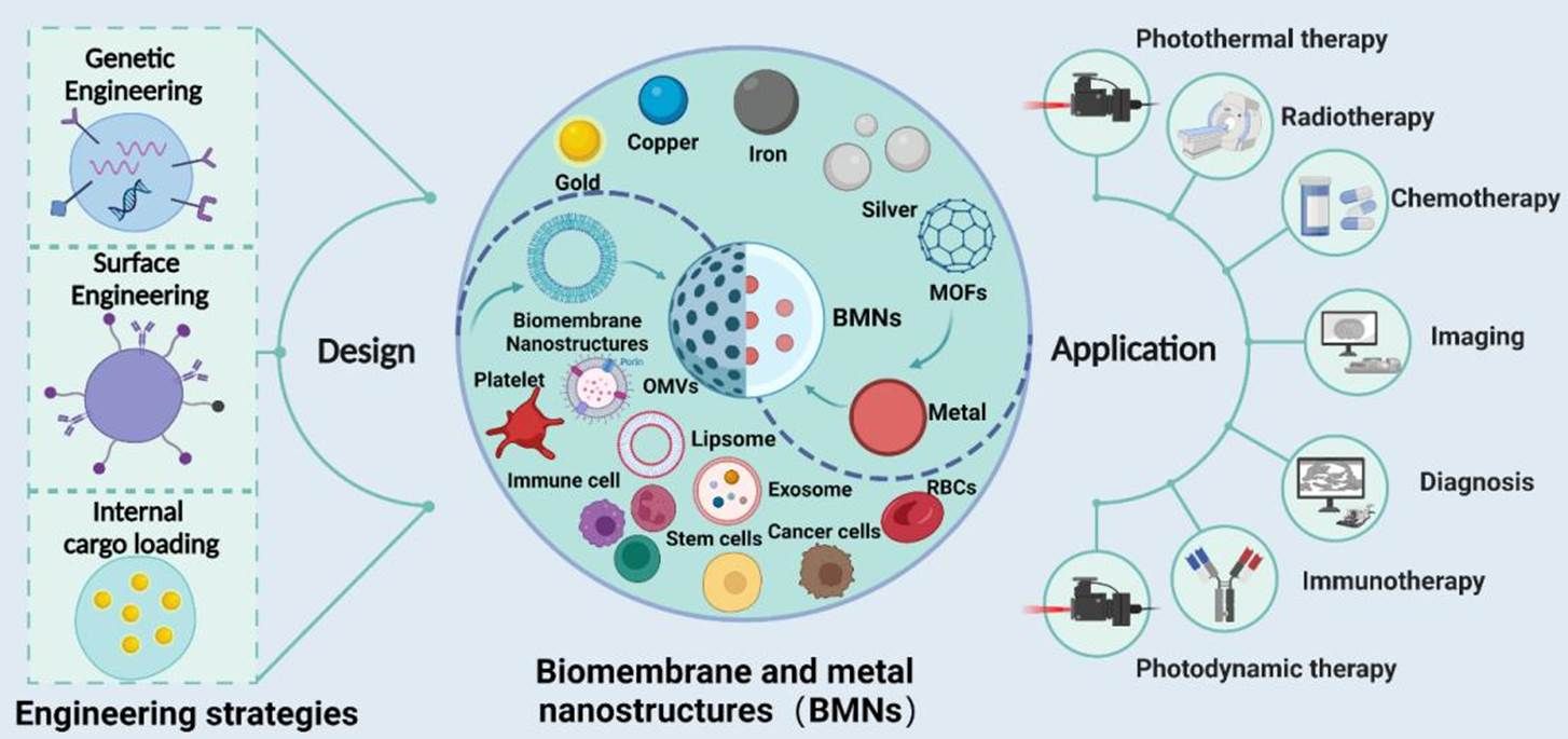 Graphical Abstract